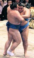 Yokozuna duo unbeaten